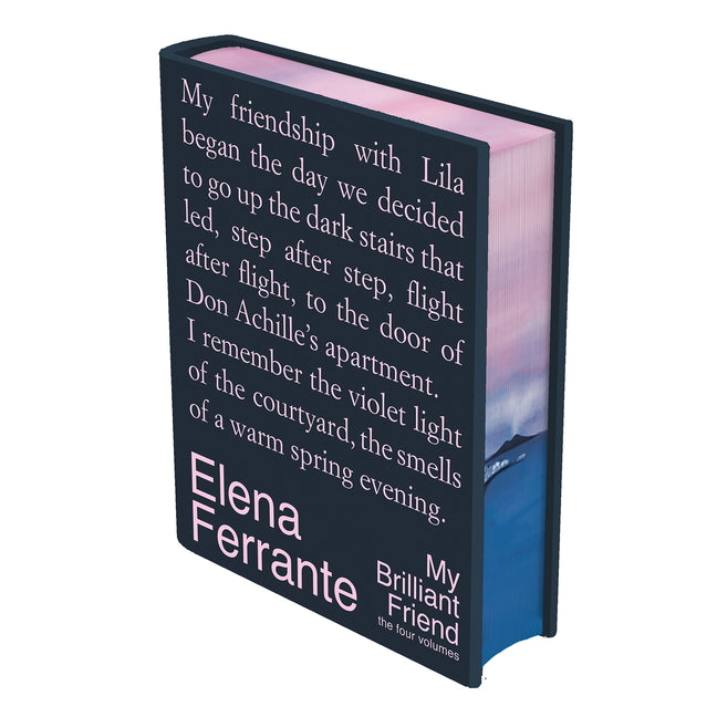 My Brilliant Friend Deluxe Edition: The Four Volumes: My Brilliant Friend, the Story of a New Name, Those Who Leave and Those Who Stay, the Story of t - Ingram