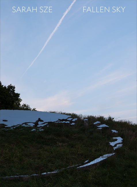 Sarah Sze: Fallen Sky - Ingram