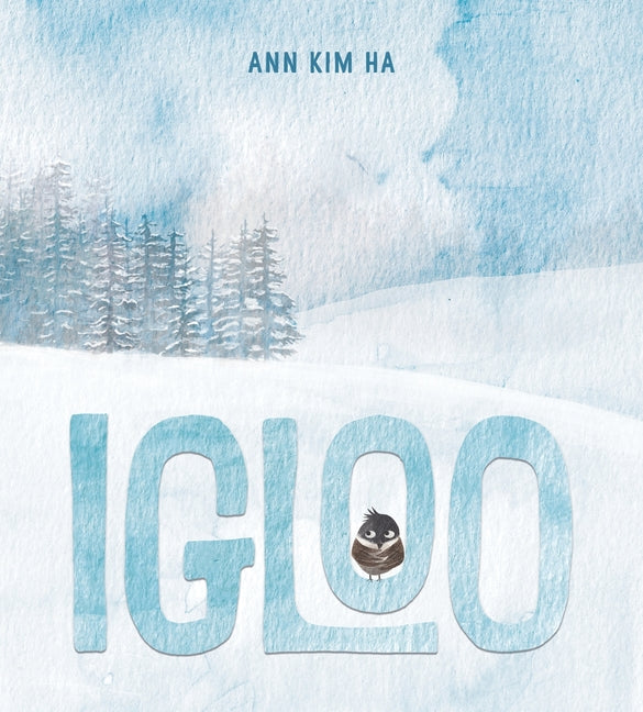 Igloo: A Home Built from Kindness and a Giant Snowball