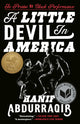 A Little Devil in America: In Praise of Black Performance - Ingram