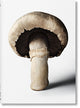 The Gourmand's Mushroom. a Collection of Stories and Recipes - Ingram
