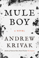 Mule Boy - Ingram