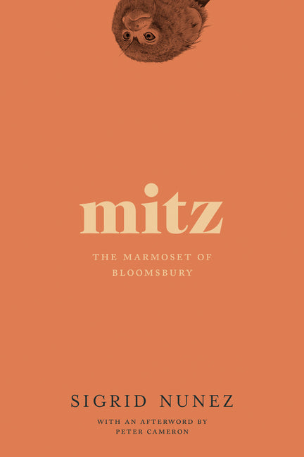 Mitz: The Marmoset of Bloomsbury - Ingram