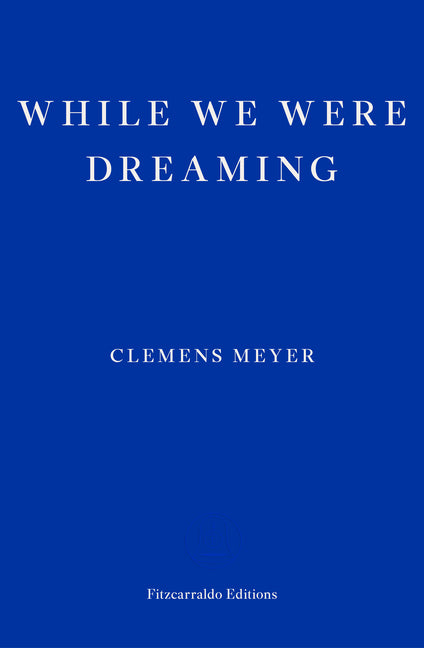 While We Were Dreaming - Ingram