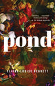 Pond - Ingram