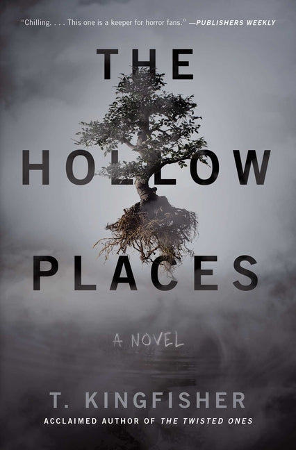 The Hollow Places - Ingram