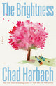 The Brightness - Ingram