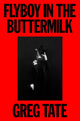 Flyboy in the Buttermilk: Essays on Contemporary America