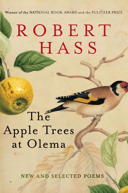 The Apple Trees at Olema - Ingram