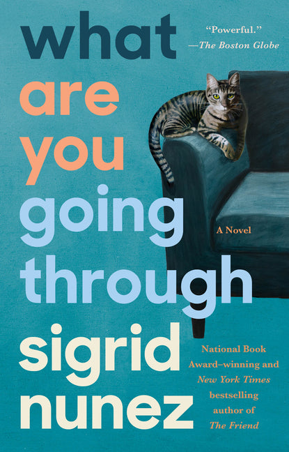What Are You Going Through - Ingram