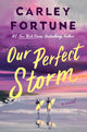 Our Perfect Storm - Ingram